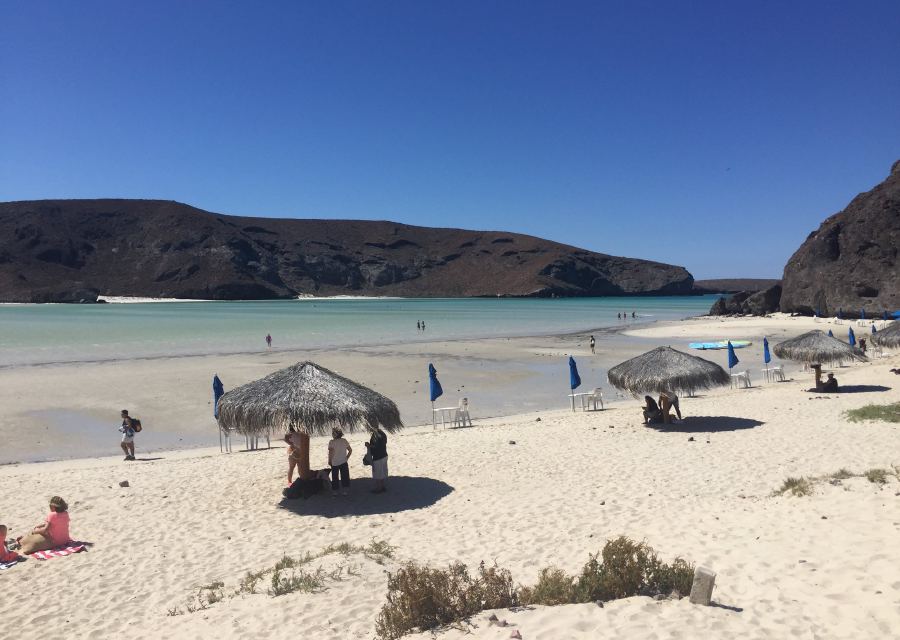 How to use the Cross Border Xpress to get to La Paz