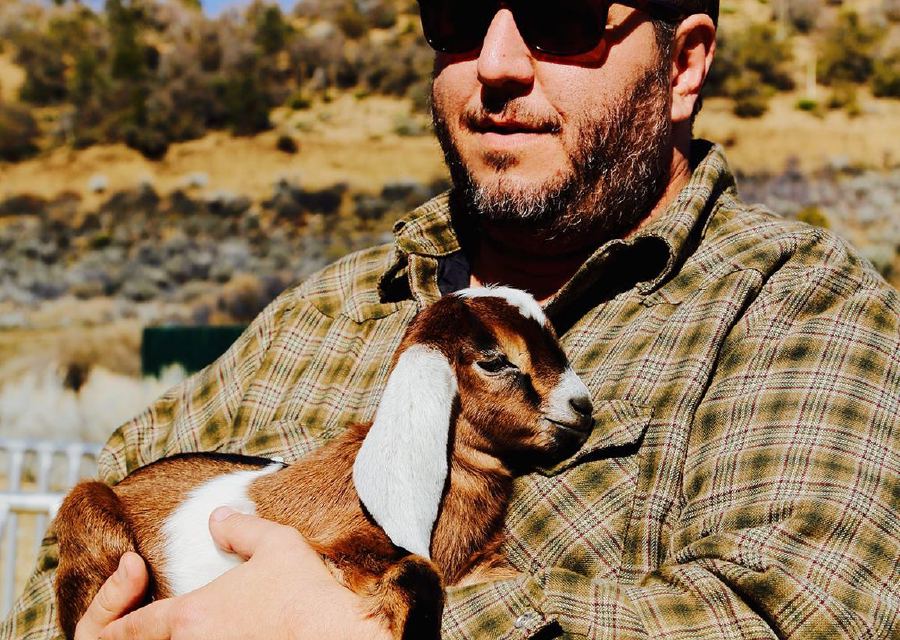 Road trip to regenerative goat ranch Angeles Crest Creamery