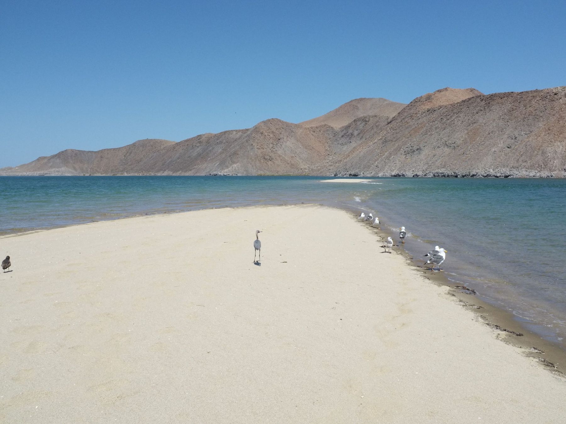 635766220542018579-08-Bahia-beach.jpg
