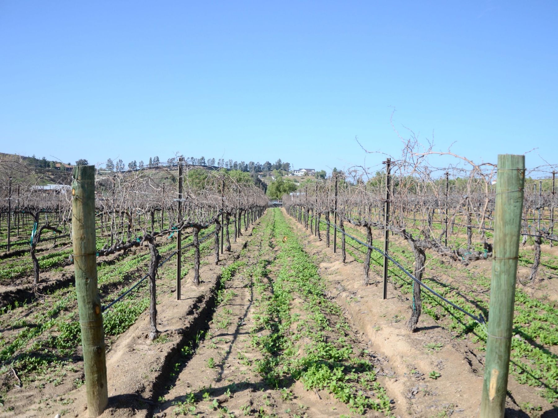 Peltzer Winery