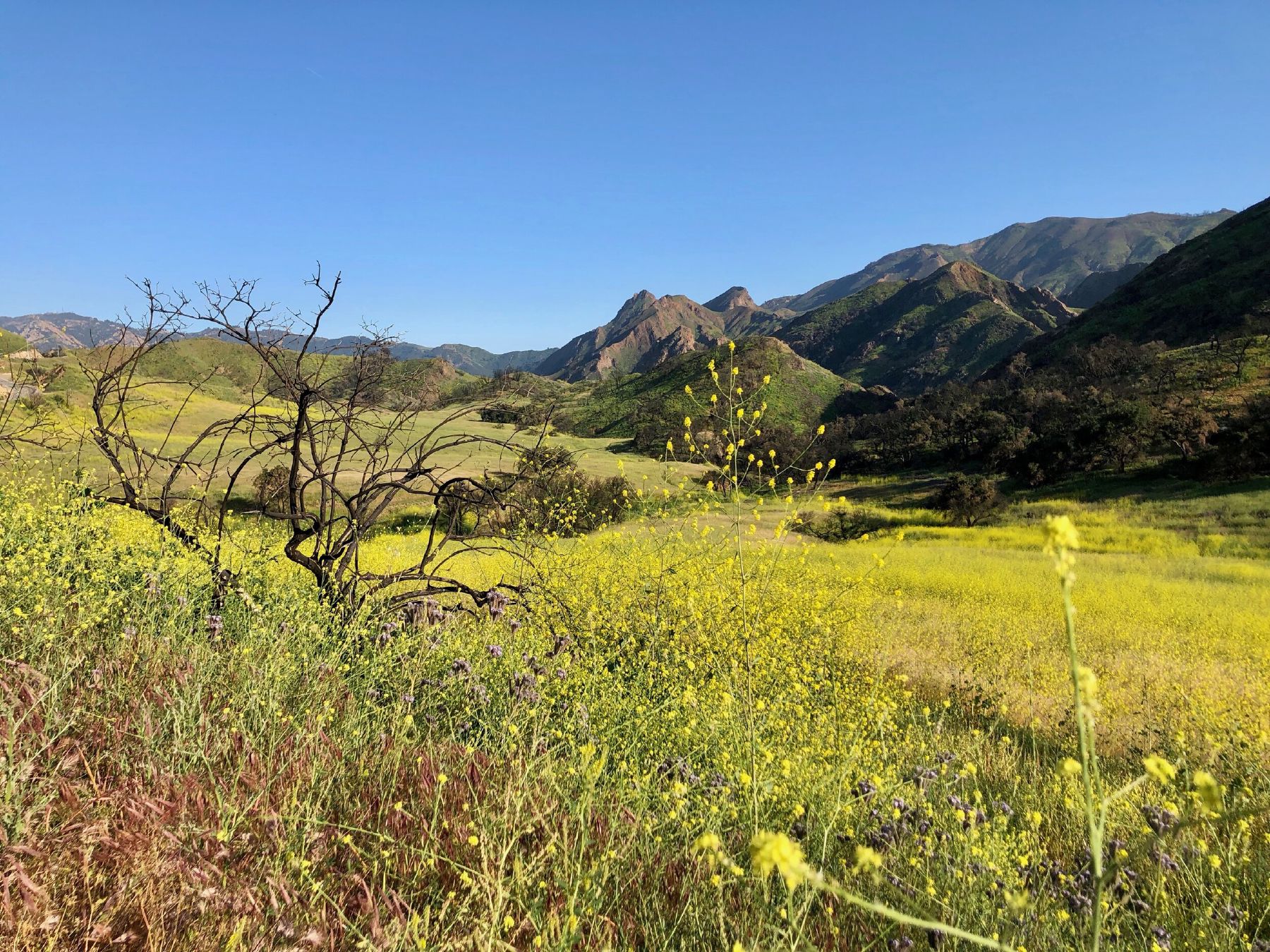 In the Santa Monica Mountains, Kanan Dume Road is one of the easiest roads to get to and from Malibu from the San Fernando Valley.