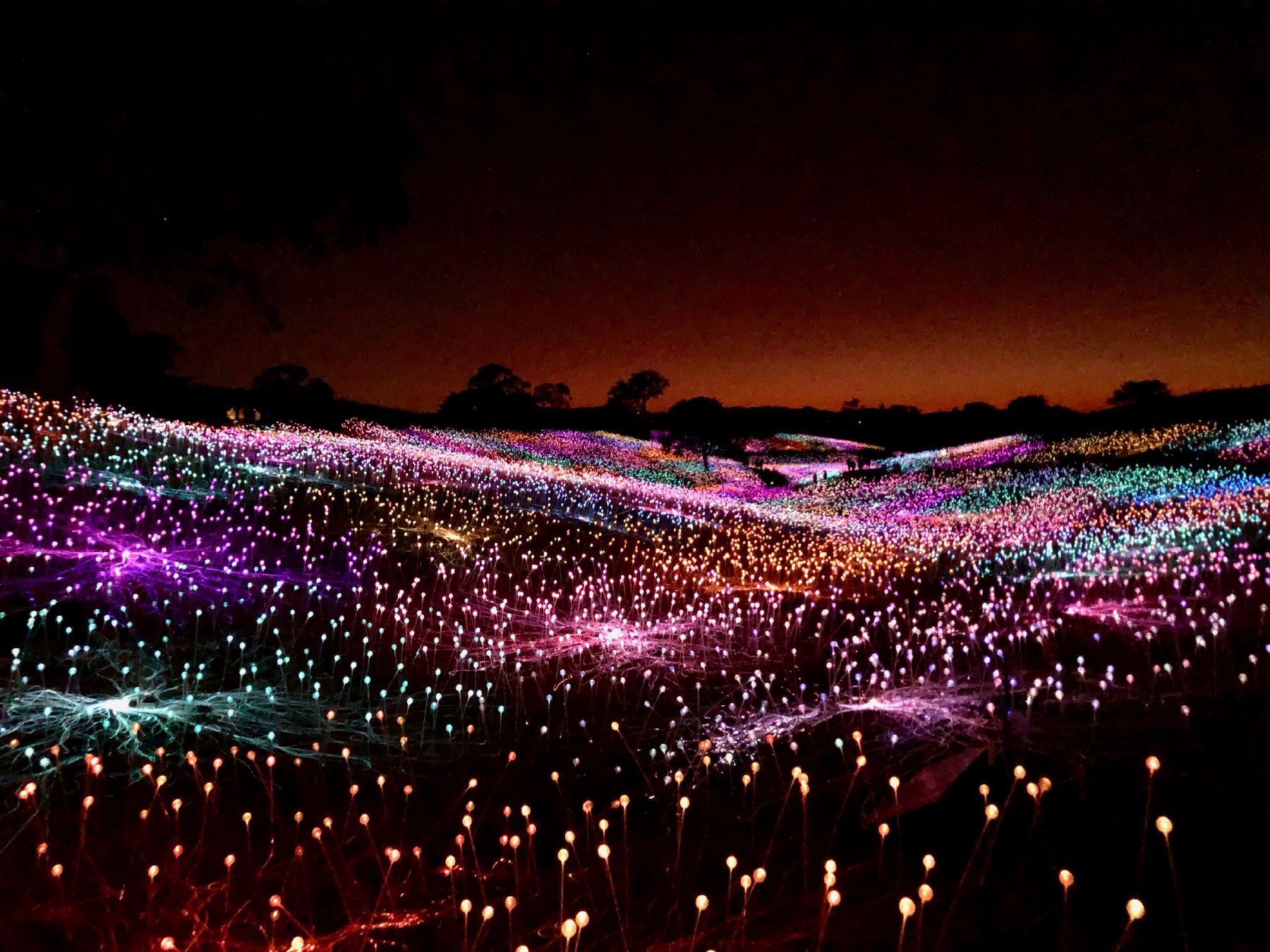 Created by British artist Bruce Munro, “A Field of Light” at Sensorio comprises more than 58,800 light-stemmed spheres, all solar-powered, that output various colors to accentuate the landscape.