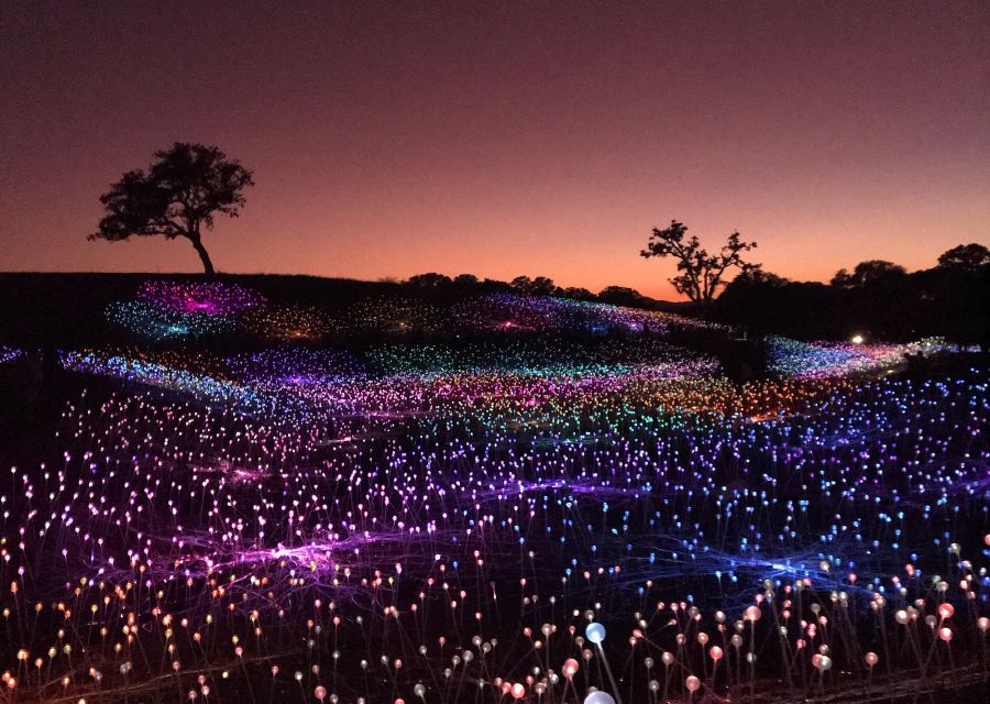 There's more than just wine in Paso Robles. Go now to see 'A Field of Light' installation.
