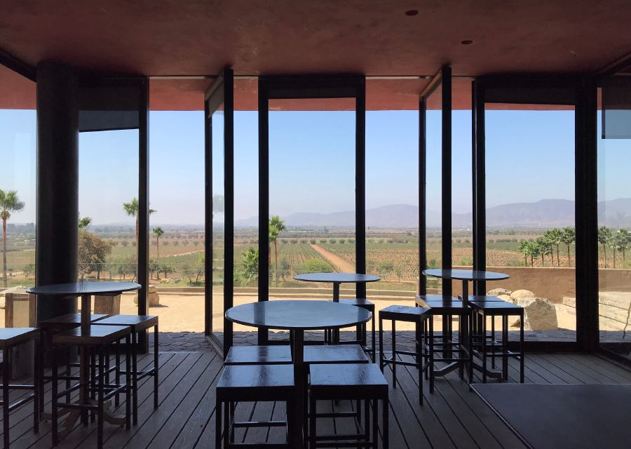 Guadalupe Valley is the wine region you need to visit
