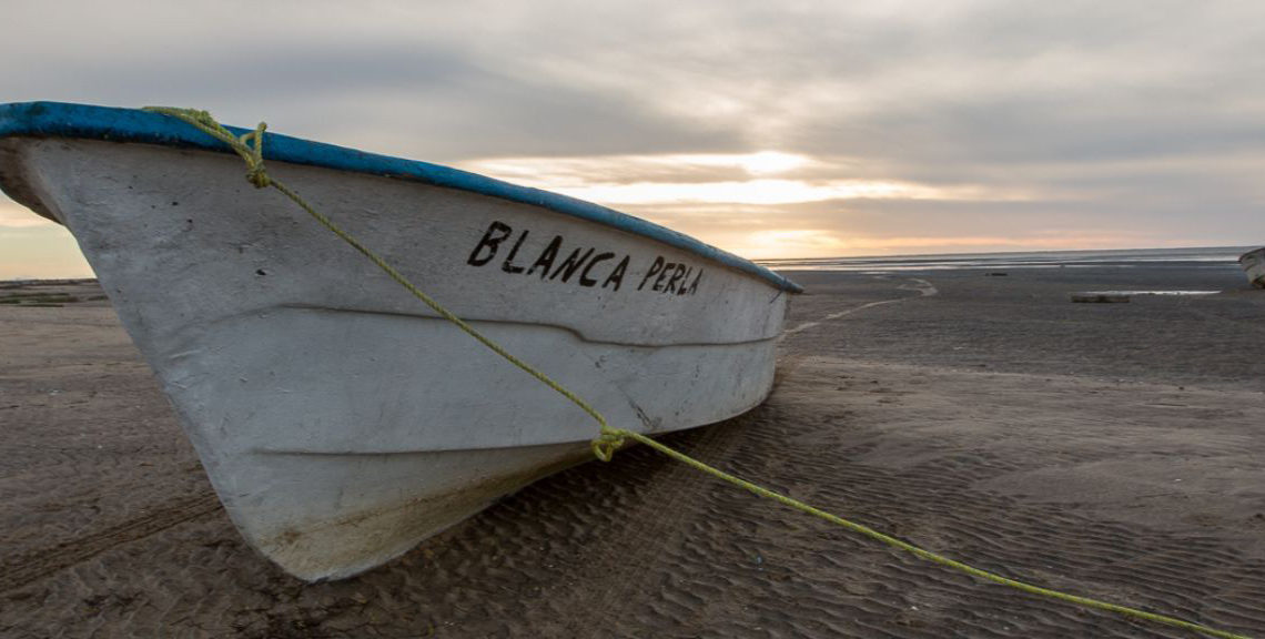 baja-whales-4-1-1140x576.jpg